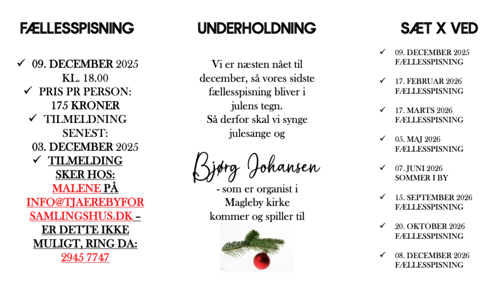 Skaermbillede 2025 11 17 kl. 12.13.53